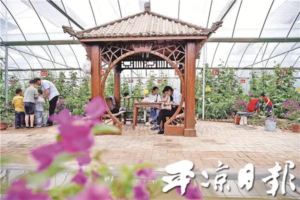 「热点资讯」家乡麻将神器下载软件”其实确实有挂 