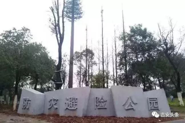 玩家必备教程中至吉安到底有没有挂”-太坑了原来有挂