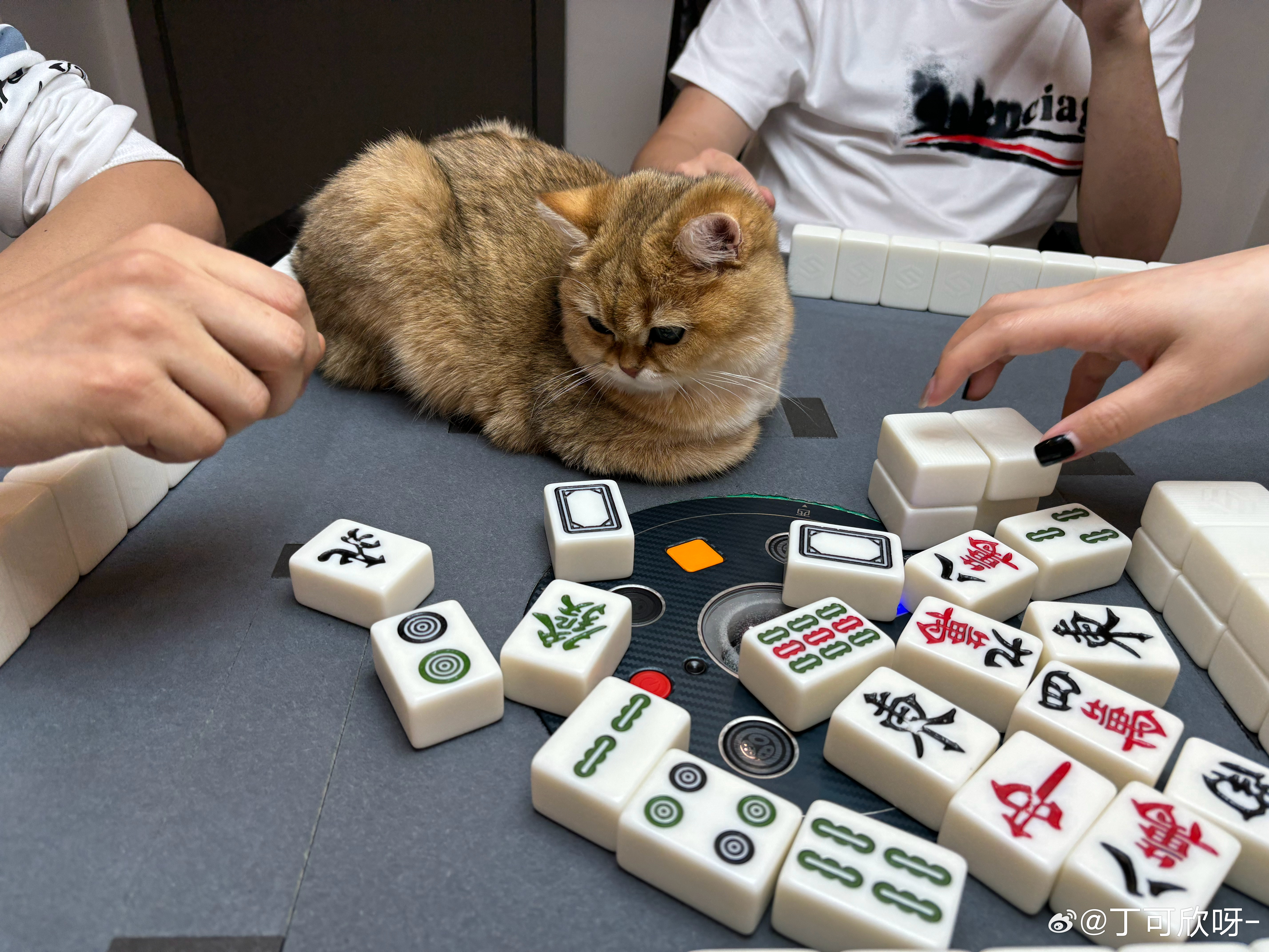 我来教教大家“熊猫麻将到底可不可以开挂”(真的有挂)
