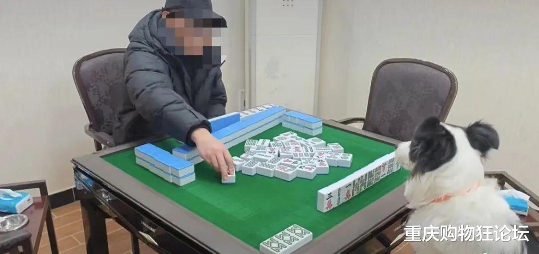 我来教教大家“麻溜儿颖上麻将有挂吗”(详细透视教程)-知乎
