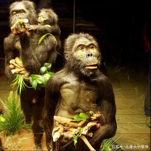 关于“猿人大厅究竟有没有挂”分享装挂步骤技巧