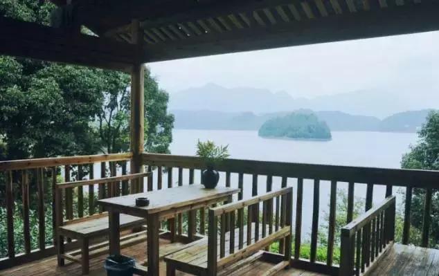 丽水茶苑其实是有挂的(其实是有挂的)
