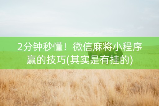 小程序麻将究竟到底有挂吗(确实真的有挂)