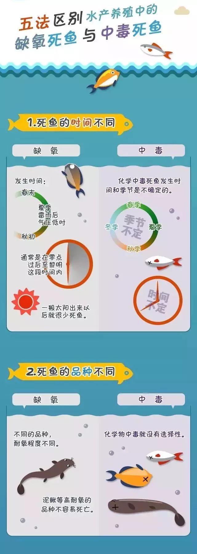 必看盘点揭秘!3个鱼虾蟹的规律性+创意科技《新浪科技 讲解窍门》